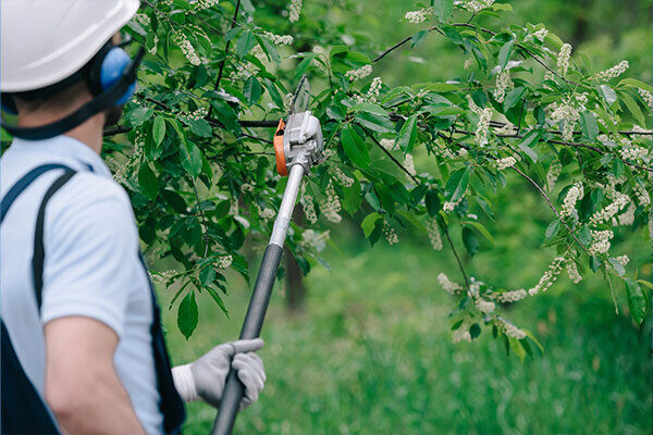 Corrective Pruning