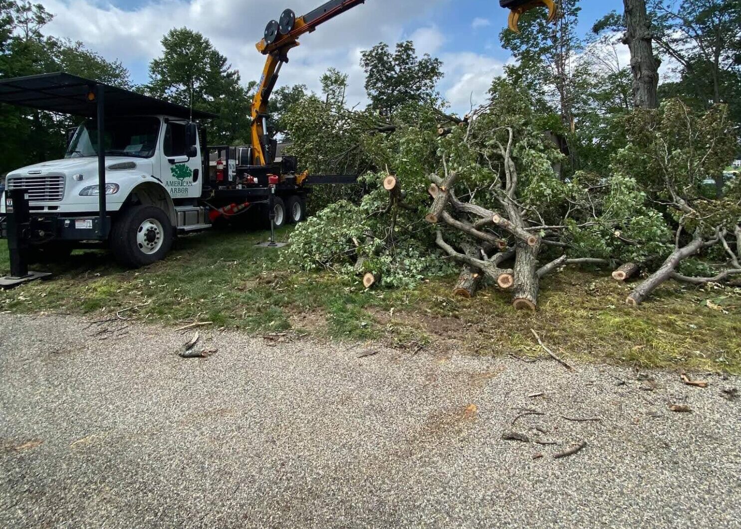 Land Clearing