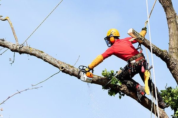 Request A Quote Request A Quote