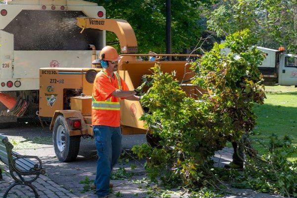storm-damage-cleanup-section-min