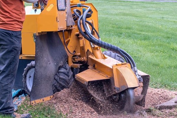 strump-grinding-section-min