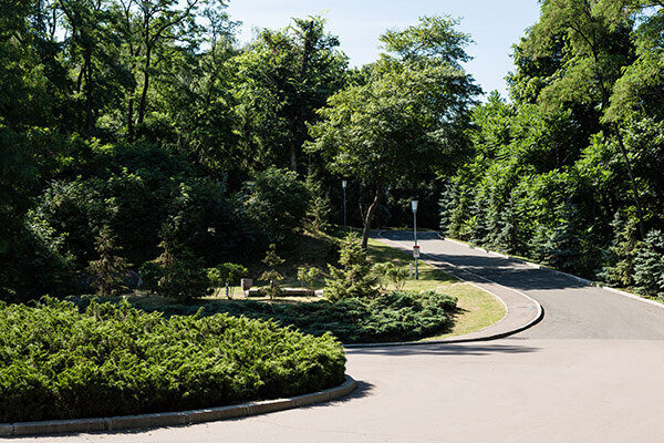 Trees For Urban Areas Trees For Urban Areas